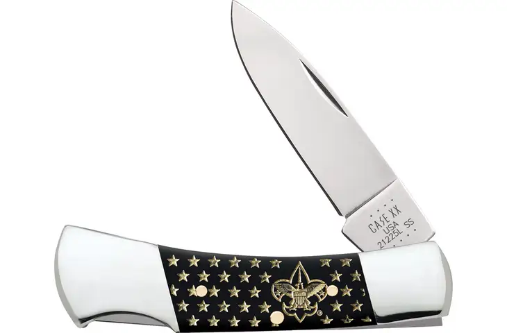 Case BSA Lockback Stainless Steel Folding Knife